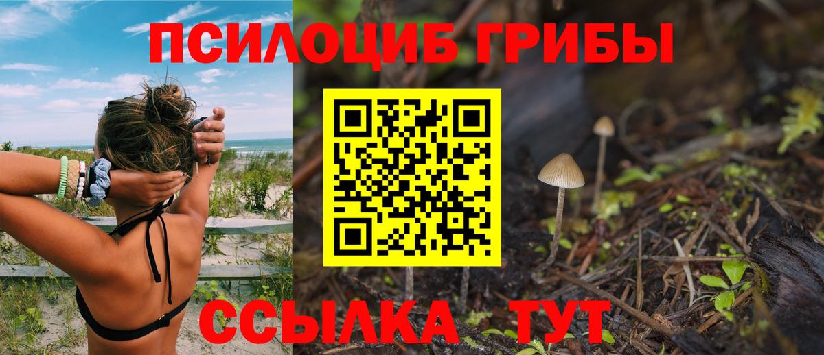 Псилоцибиновые грибы MAGIC MUSHROOMS  Вход с VPN  Тверь 
